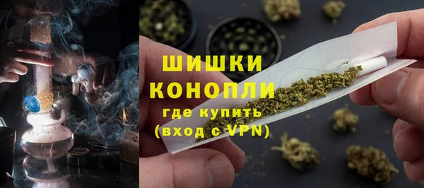 шишки Беломорск