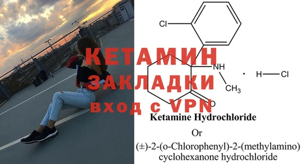 шишки Беломорск