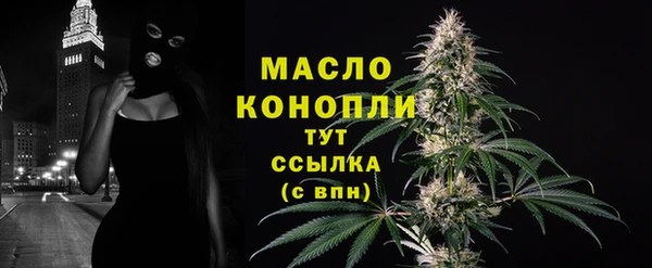 мдпв Ельня