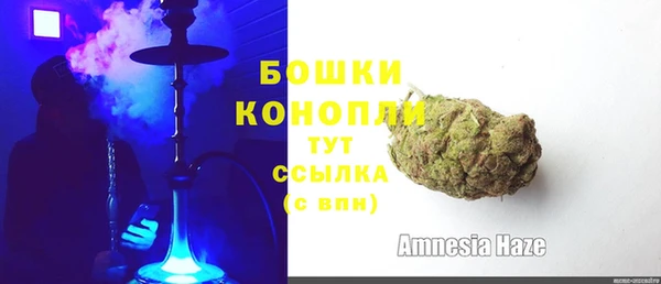 шишки Беломорск