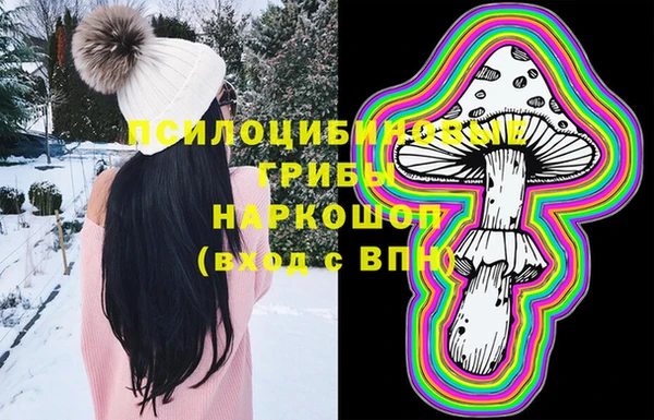 шишки Беломорск