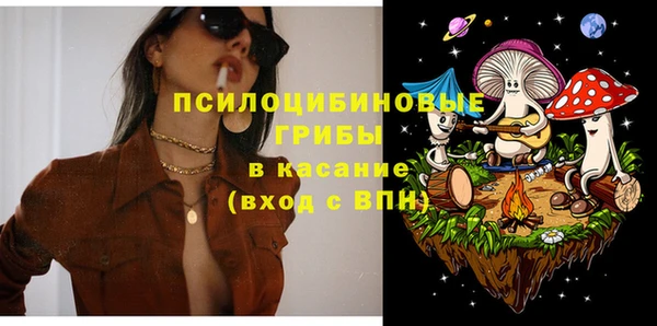 гашик Белоозёрский