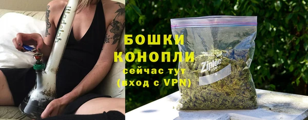 гашик Белоозёрский