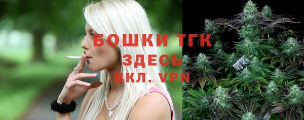 гашик Белоозёрский