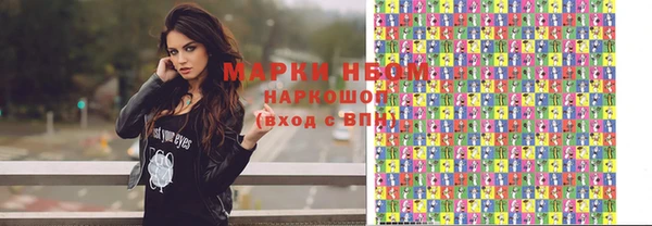 шишки Беломорск