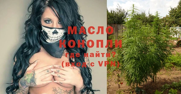 шишки Беломорск