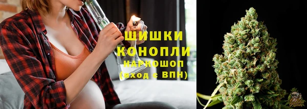 шишки Беломорск