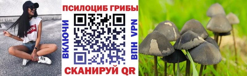 Галлюциногенные грибы мухоморы  купить закладку  Володарск 